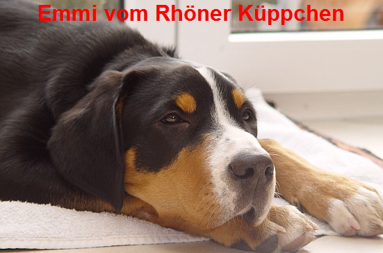 Emmi vom Rhöner Küppchen Emmi vom Rhöner Küppchen