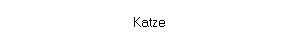 Katze