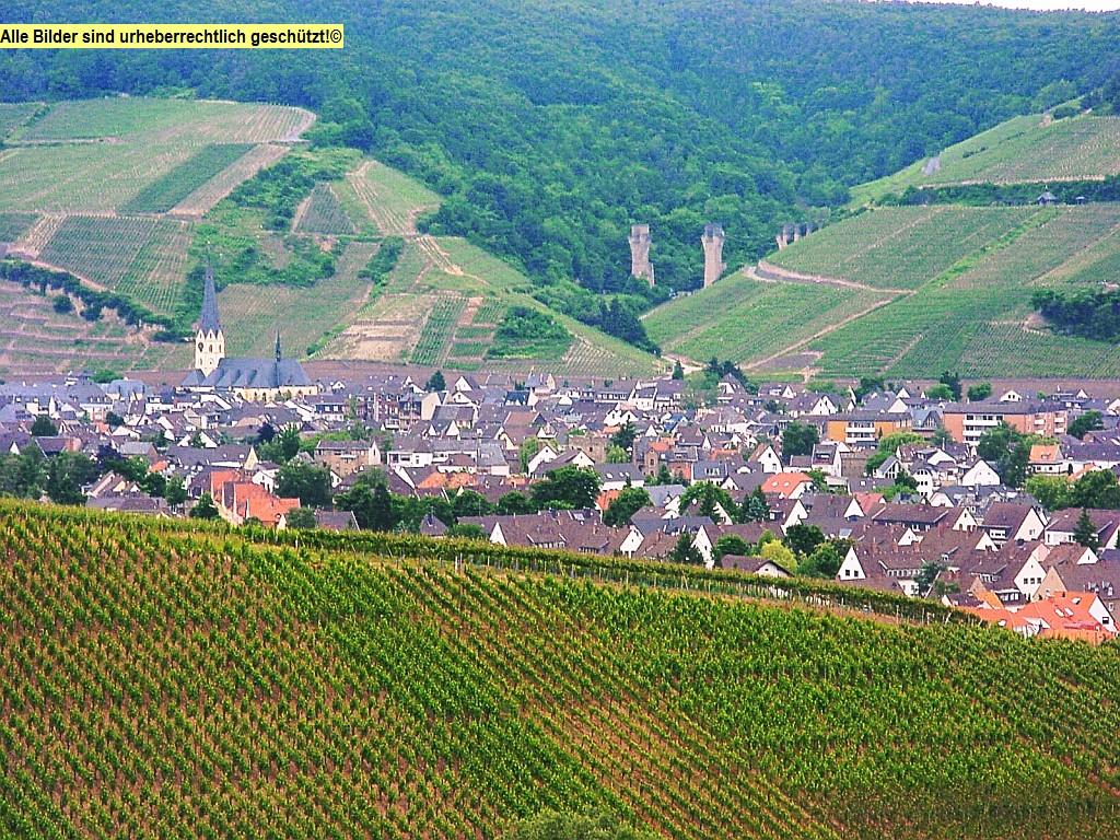 2005-07-29 11:05:54