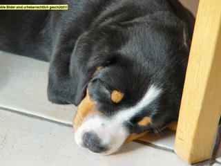 2005-10-24 16:26:24