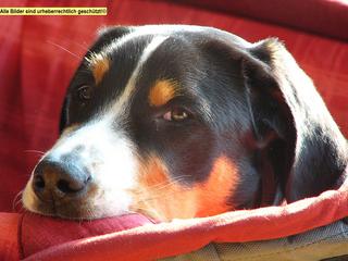 2006-02-25 15:40:14