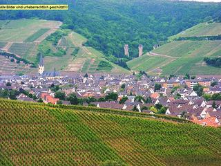 2005-07-29 11:05:54