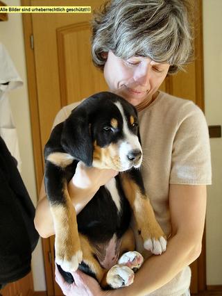 2005-10-24 16:52:04