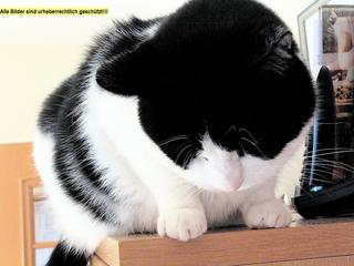 2006-04-03 13:34:32
